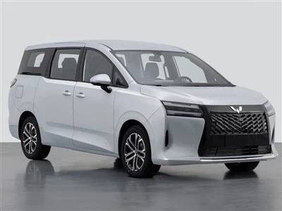 Wuling Starlight 730 RHD MPV